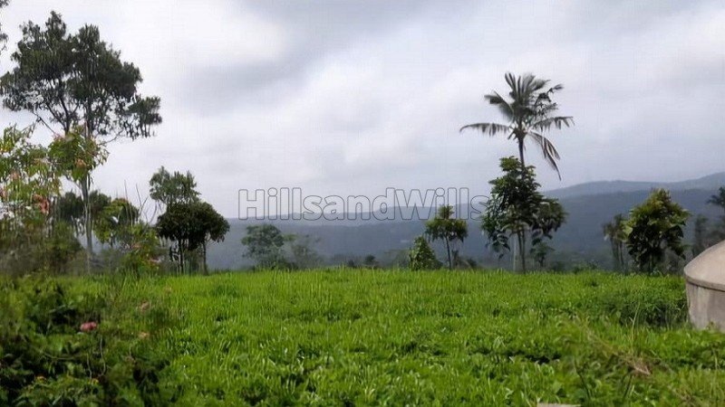 ₹1.80 Cr | 2.41 acres tea estate for sale  in calvary mount idukki