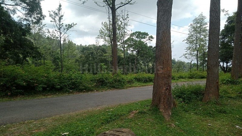 ₹78.75 Cr | 525 acres tea & coffee estate with sandal wood trees for sale in kotagiri