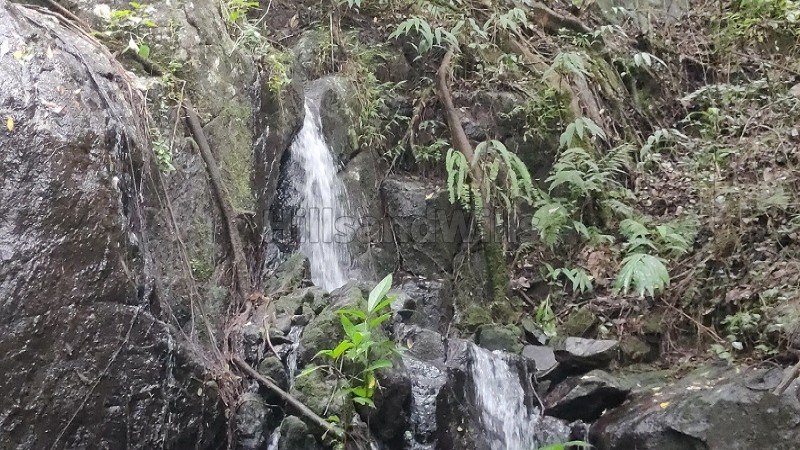 ₹1.19 Cr | 7 acres  agriculture land with waterfalls for sale  in pachalur kodaikanal