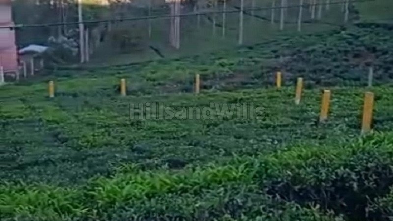 ₹1.30 Cr | 5 cents residential plot for sale in kannerimukku kotagiri