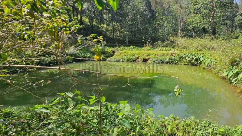 ₹45.90 Cr | 170 acres pepper & cardamom estate for sale in kodaikanal