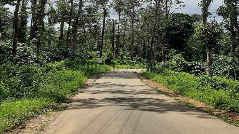 ₹12.50 Cr | 5.5 acres commerical land for sale in virajpet coorg