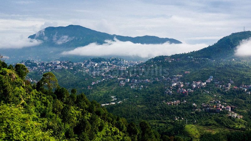 ₹55 Lac | 250 sq.yards residential plot for sale in kasauli solan