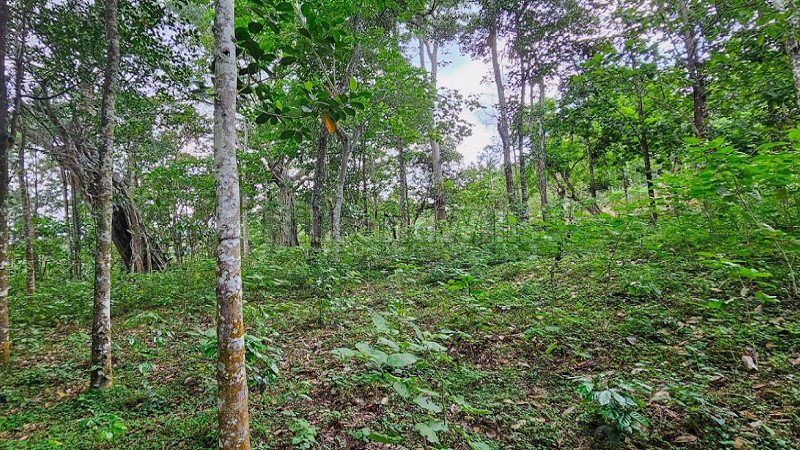 ₹46 Lac | 2 acres agriculture land for sale in kodaikanal