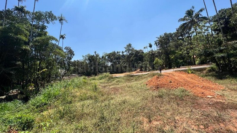 ₹1.80 Cr | 60 cents commerical land for sale in padinjarathara wayanad