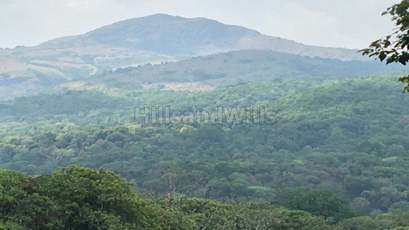 ₹4 Cr | 14.7 acres estate with traditional house for sale in madikeri coorg