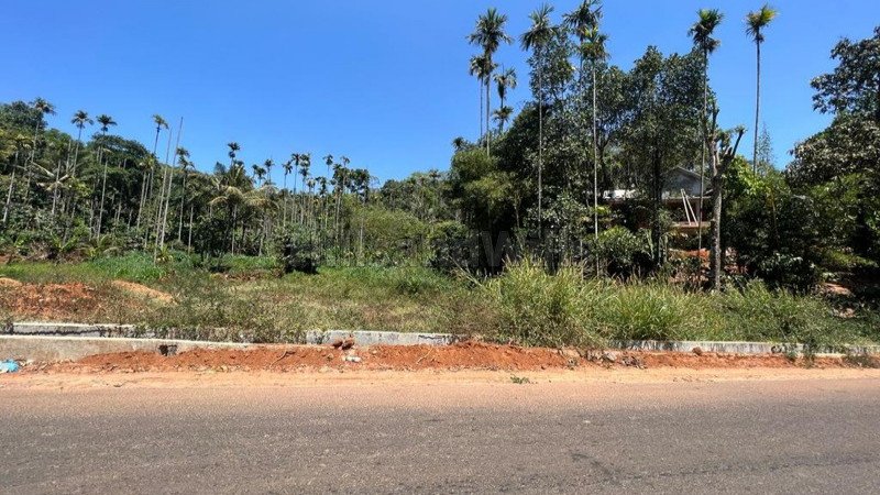 ₹1.80 Cr | 60 cents commerical land for sale in padinjarathara wayanad