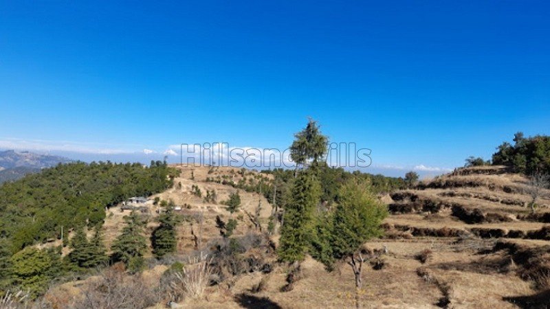 ₹95.95 Lac | 101 nali  himalayan view land for sale in mukteshwar nainital